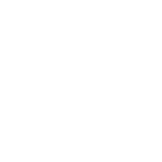 Icono SEO CDMX
