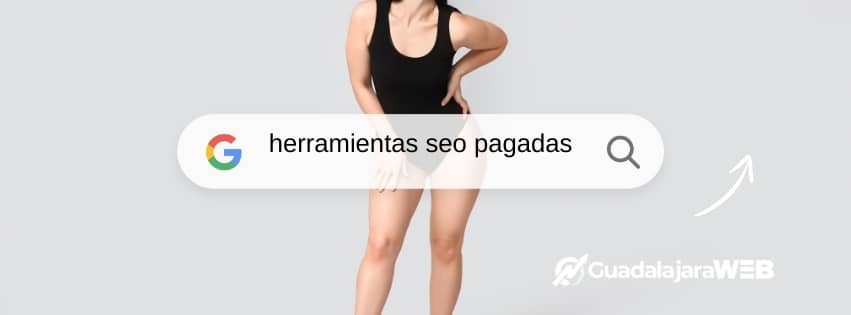 Herramientas SEO pagadas